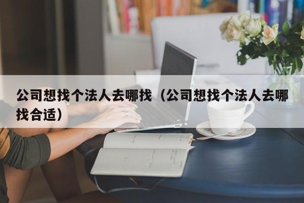 公司想找个法人去哪找（公司想找个法人去哪找合适）