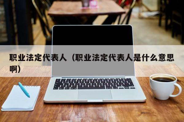 职业法定代表人（职业法定代表人是什么意思啊）