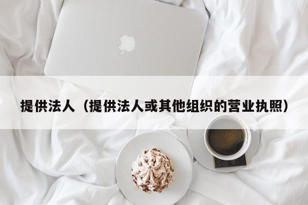 提供法人（提供法人或其他组织的营业执照）