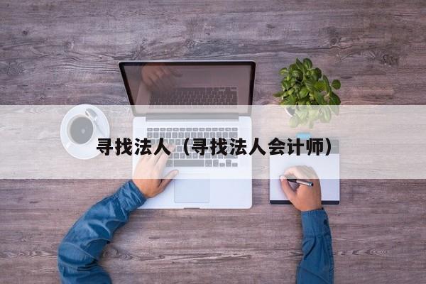 寻找法人（寻找法人会计师）
