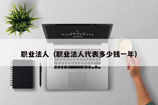 职业法人（职业法人代表多少钱一年）