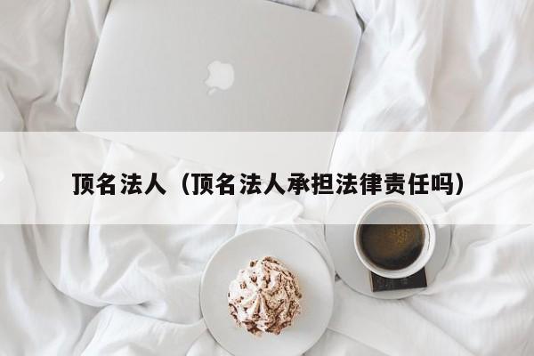 顶名法人（顶名法人承担法律责任吗）