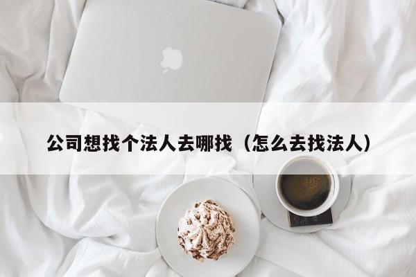 公司想找个法人去哪找（怎么去找法人）
