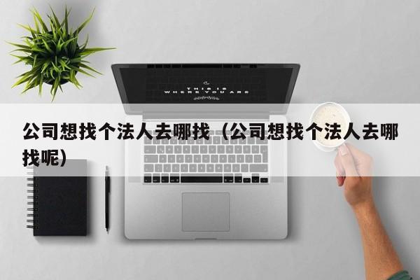 公司想找个法人去哪找（公司想找个法人去哪找呢）