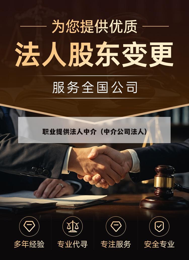 职业提供法人中介（中介公司法人）