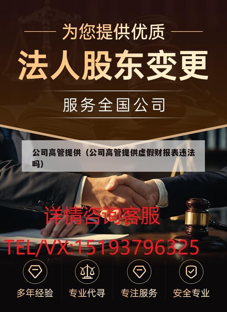 公司高管提供（公司高管提供虚假财报表违法吗）